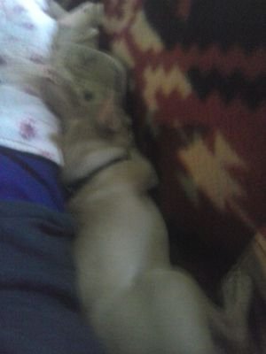 andrewcole9823's profile picture. 