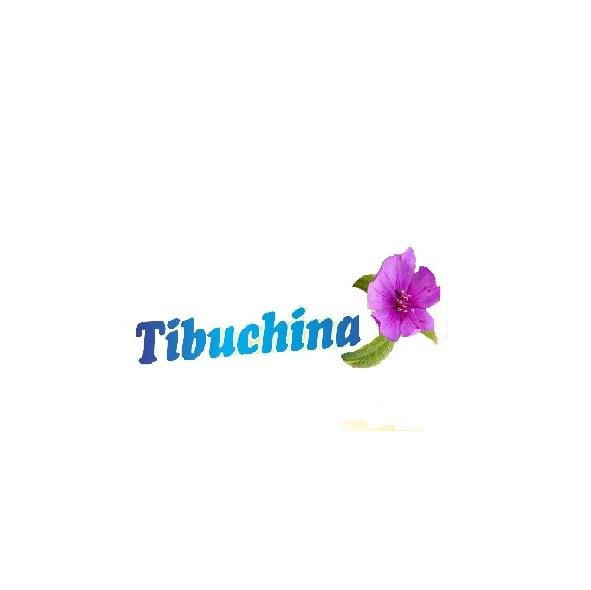 Turismo V Tibuchina