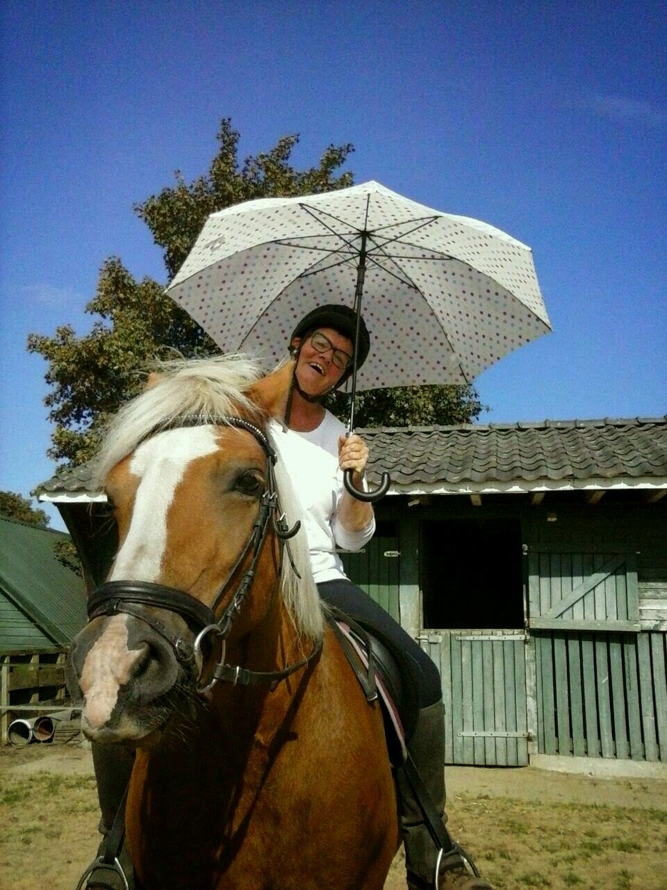 SlootsJoke's profile picture. 