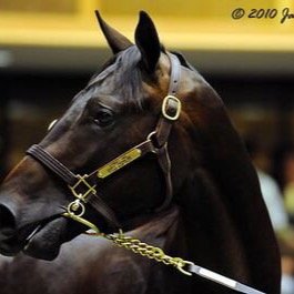 66Loord's profile picture. العلم بالتعلم والحلم بالتحلم