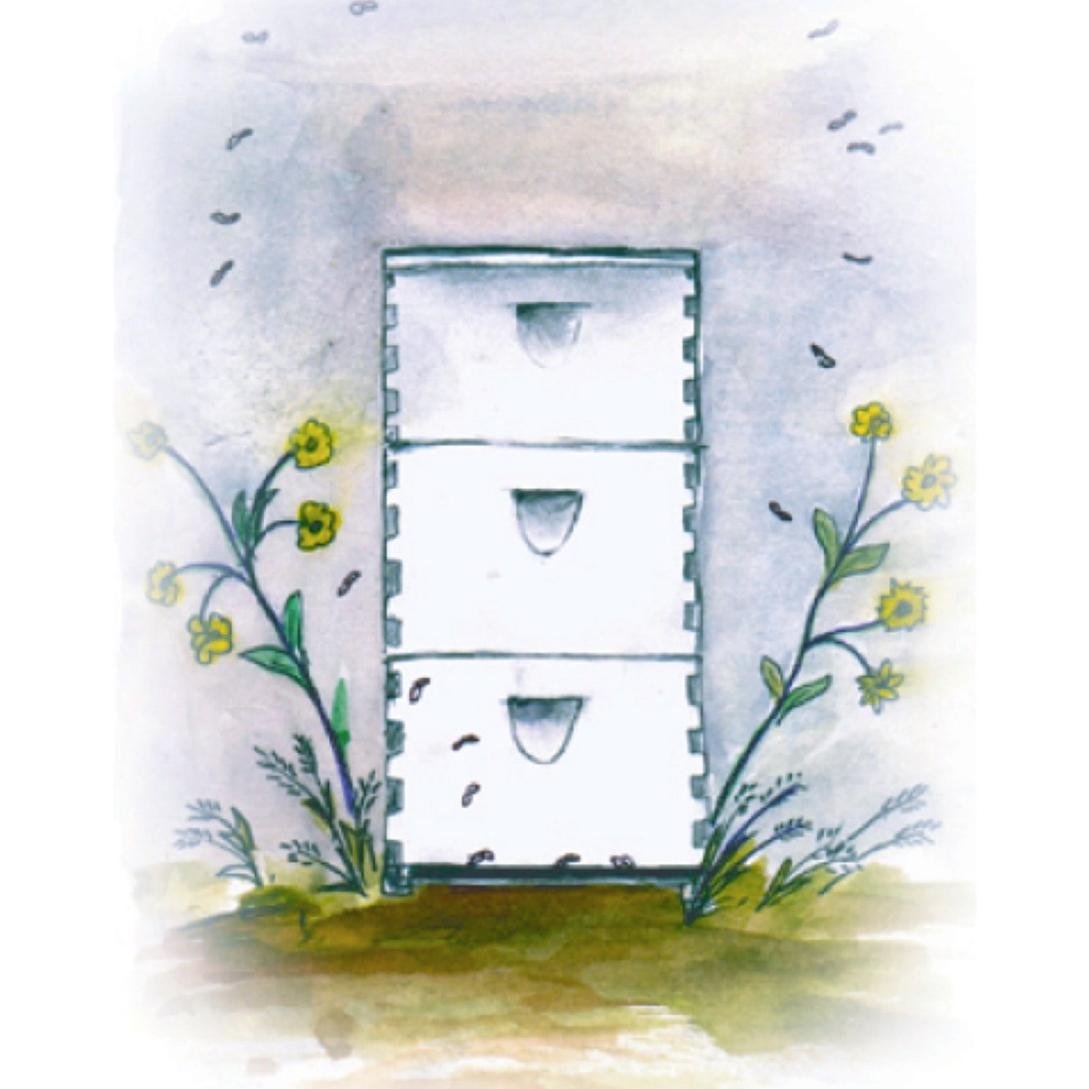 We run a sustainable beekeeping business. We sell raw honey, bees, and beekeeping supplies.
