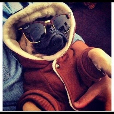 cilidangles22's profile picture. 