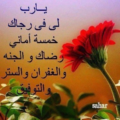قال الحق سبحانه وتعالى : قُلْ إِنَّ صَلاَتِي وَنُسُكِي وَمَحْيَايَ وَمَمَاتِي لِلّهِ رَبِّ الْعَالَمِينَ *