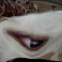 Ryan conner barrett - @bmorery10 - Twitter