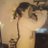 ridethepony11's profile image
