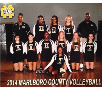 Marlboro County High School Jv and Varsity volleyball clubs during the fall season. Region 6-AAA, Go Lady Dawgs!!!