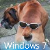 PC builder / Repair. Interested in hardware, software & security