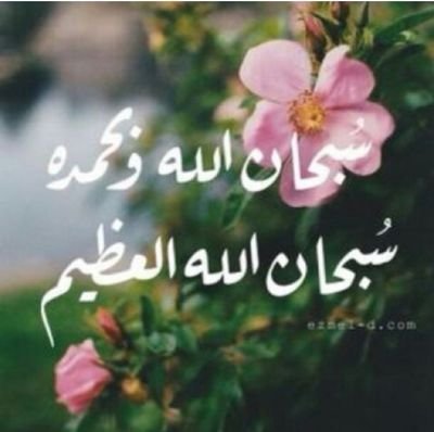 أستغفرالله الذي لا اله الا هو الحي القيوم وأتوب اليه 'سبحان الله وبحمده سبحان الله العظيم،