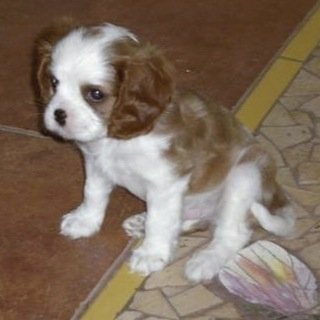 Mscraft1Boyd's profile picture. 