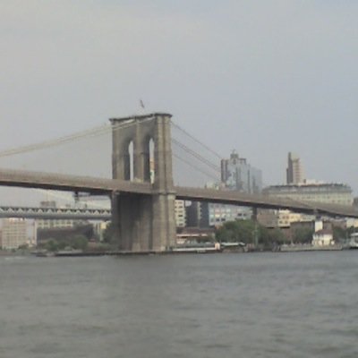 DravenArchangel's profile picture. 