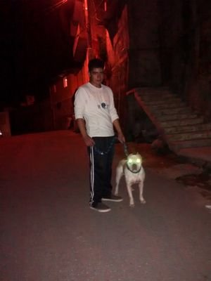 leosjuarez402's profile picture. 