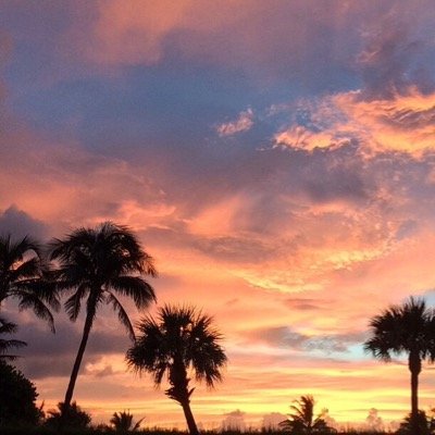 CharlieDelray's profile picture. Food Obsessed - Witness the ongoing madness in all its glory on Instagram:  @CharlieDelray