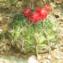 Susan Estill - @sestill58 - Twitter