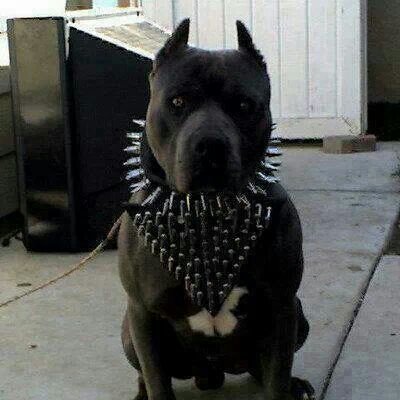 Sergioroca4's profile picture. 