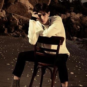 RolePalyer 장현승 // ∀Σ & ∀ΔΣ // Beast Lead Dance ; Lead Vocal ; Trouble Maker ; Good Luck