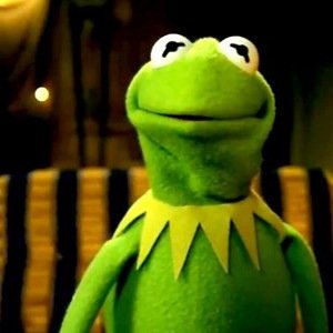 ranarenequotes's profile picture. Buscando encontrarme y encontrar a los demás