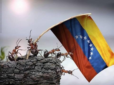 Venezuela libre.