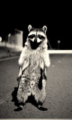 Sergo228132's profile picture. 