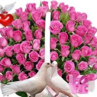 فحل مصري  بالكويت (@fakry432) Twitter profile photo