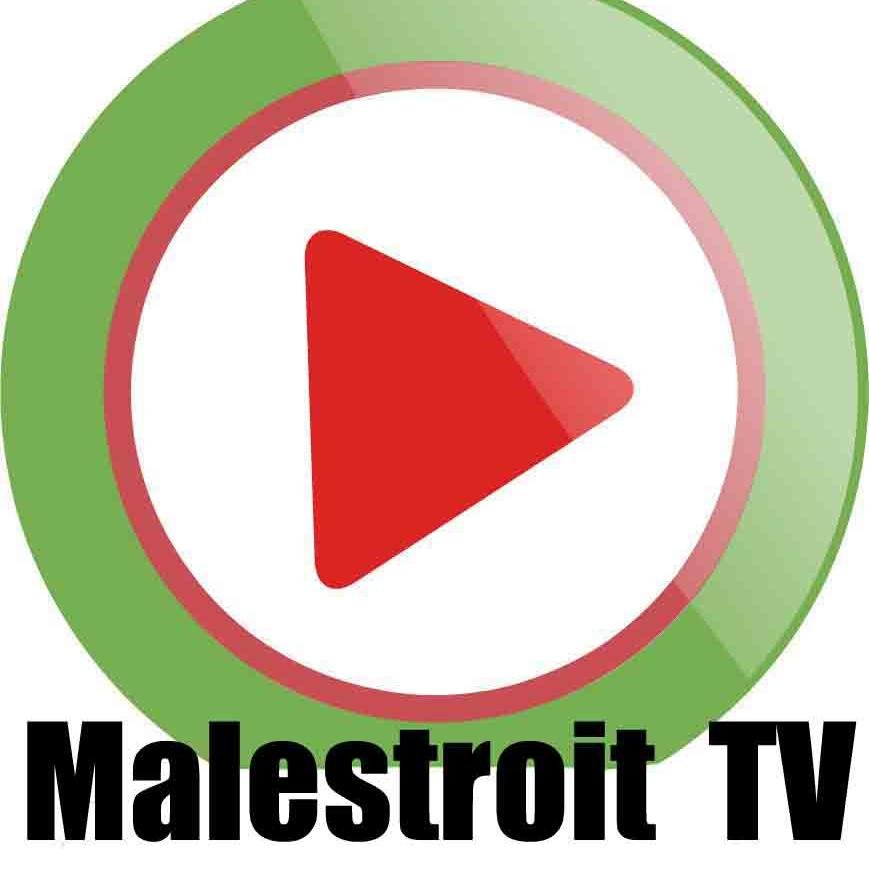 malestroittv's profile picture. webtélé HD de #Malestroit en #Bretagne - groupe TV Quiberon 24/7