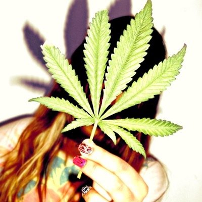 smoking weed and anonymously tweeting about life