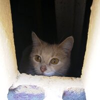 naomi (@cannvel) 's Twitter Profile