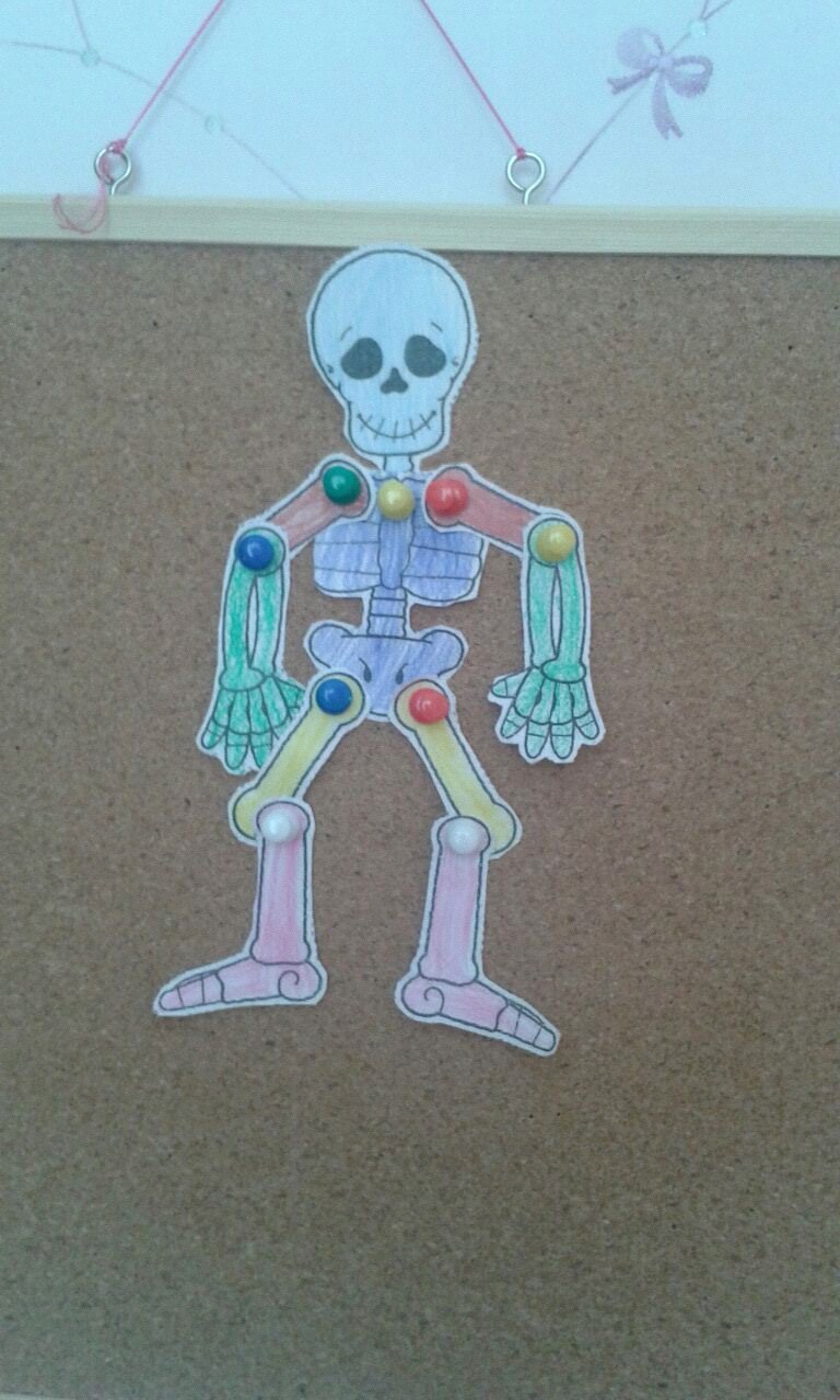 balparmak1071's profile picture. 