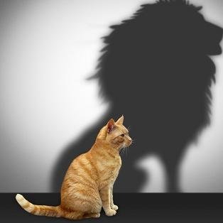 Trainer, Coach in Acquisitie, Verkopen, Marketing, NLP, persoonlijke ontwikkeling