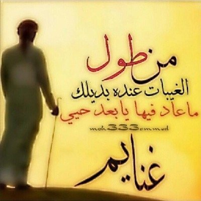 حادي العيس