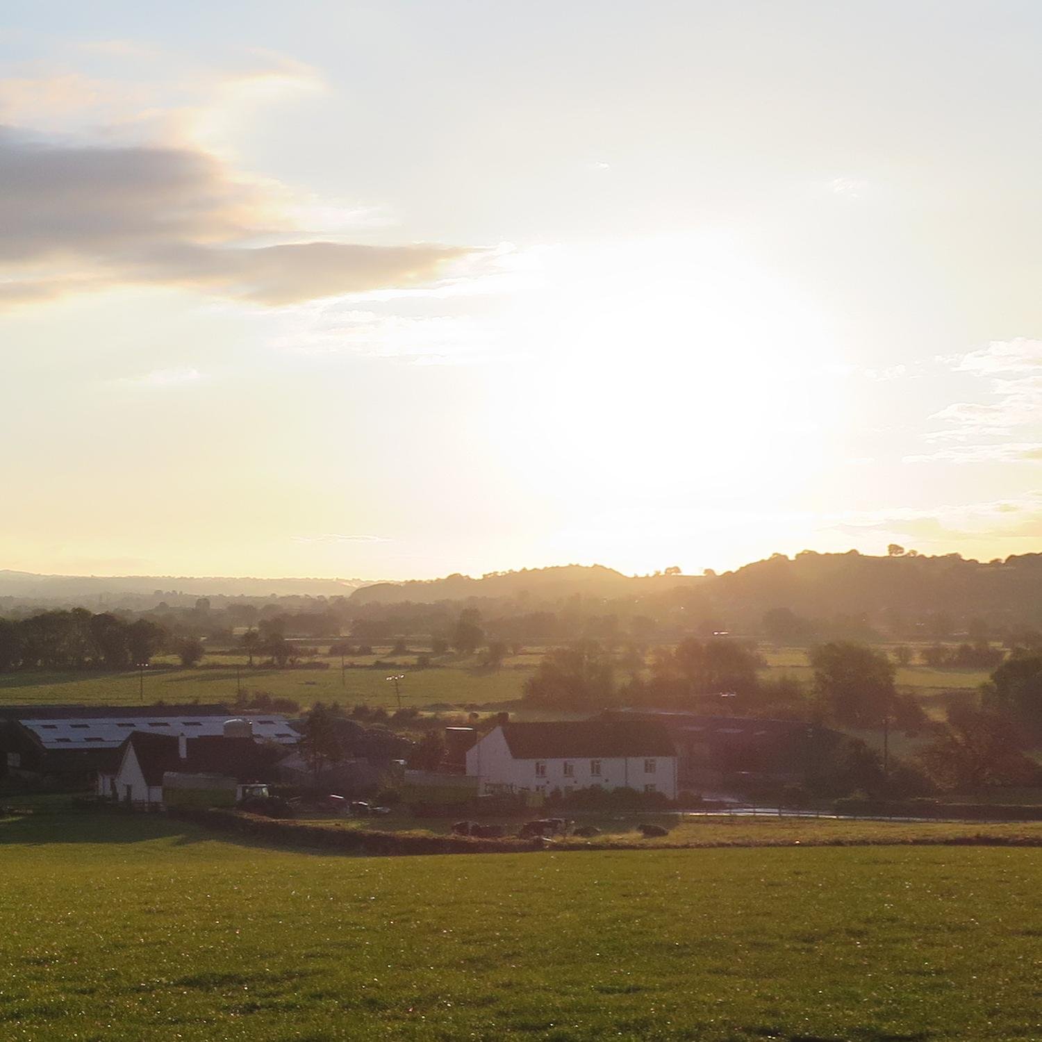 Same Shot, Different Day - a picture taken from the same place, every day that I pass it, at Theale Village Hall, Somerset