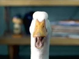 hi im back i lost the password for my first account so i created another one