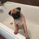 Mike Irwin - @themachine205 - Twitter