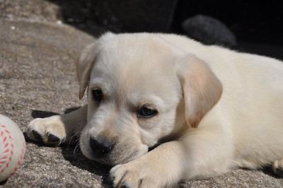 elhombregancho's profile picture. 