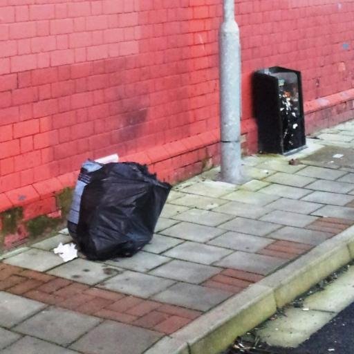 Residents of Splott Tremorfa Adamsdown and Roath, united against litter, rubbish and flytipping. STAR.