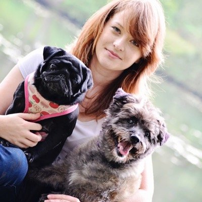 mitcheldeanmutt's profile picture. Dog groomer & boutique based in the heart of the Forest of Dean. Salon in a home environment with one to one love and attention