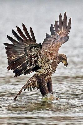 tmalsalsxm's profile picture. 중.고 수학 전문학원 031 268  8090