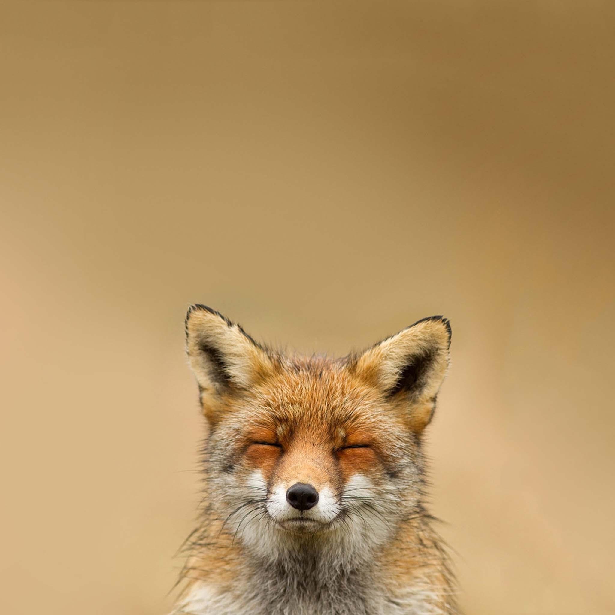 titoo75's profile picture. ....