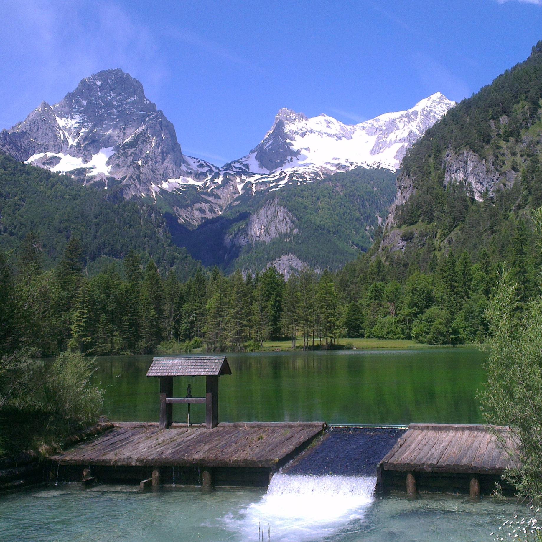 kim_possible86's profile picture. Tree-Hugger