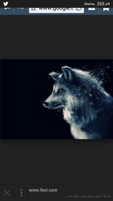 The wolf       ,!