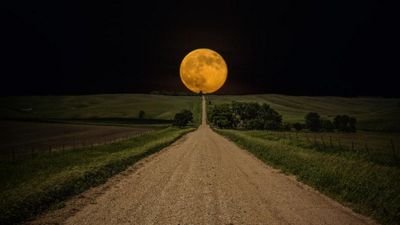 abousumy's profile picture. 