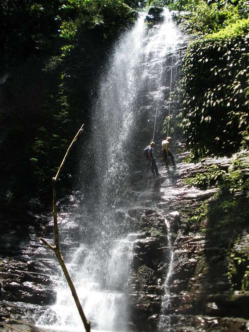 We are a new Permaculture University in the beautiful Southern Zone of Costa Rica.