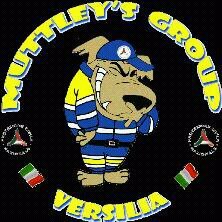 MuttleyGroupVersilia Profile