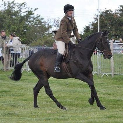 higgins_abigail's profile picture. 