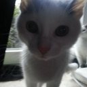 LStoner - @LeonSteiner2 - Twitter