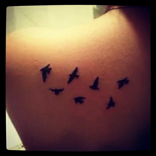 491Dias's profile picture. 