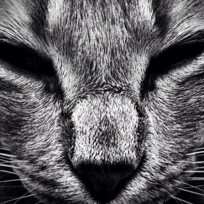 bgrogg's profile picture. 