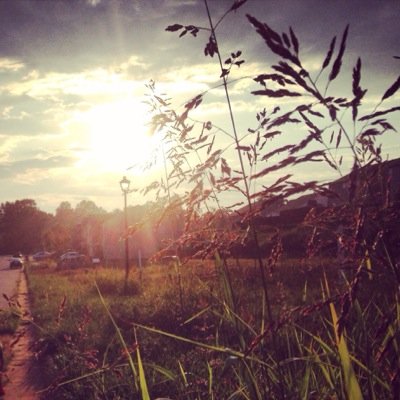 ncmamaonthego's profile picture. wanting to share great deals, places to eat and fun family activities with other moms in nc!