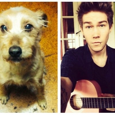 RidgeGilmour's profile picture. Yes i am a dog
Yes i love @LijGilmour
i will meet him one day