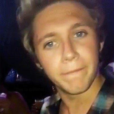 hii if you see this please follow @writinghoran , feel free to ask her for a dm to niall !! :D
