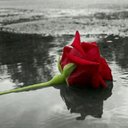 ه (@22star222) Twitter